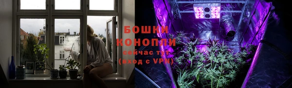 гашик Богородск