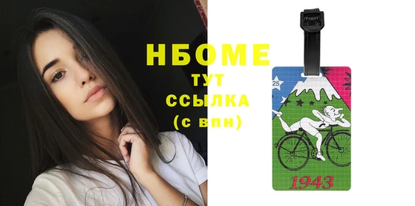 гашик Богородск