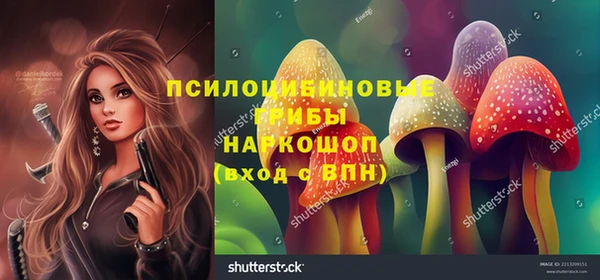кокаин Богданович
