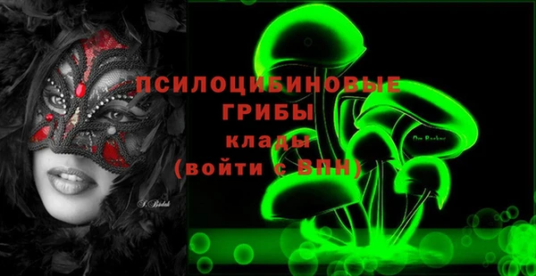 гашик Богородск